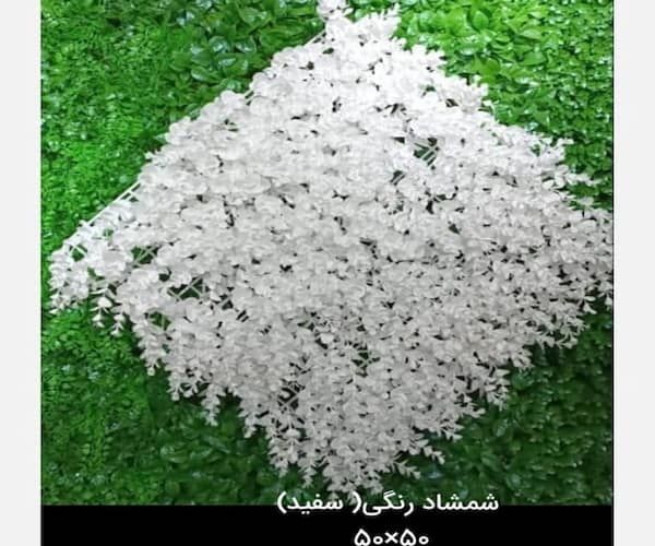 تصویر 5 از قیمت گرین وال سفید + خرید باور نکردنی